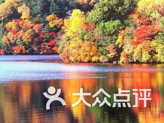 逗小猴开心系列165