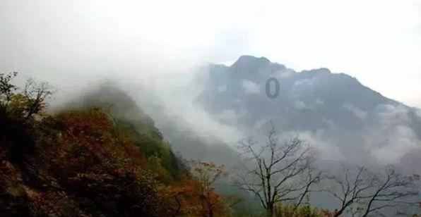 山西省人大代表、浮山县委书记赵晨伟：蹚出农村能源革命“浮山路径”