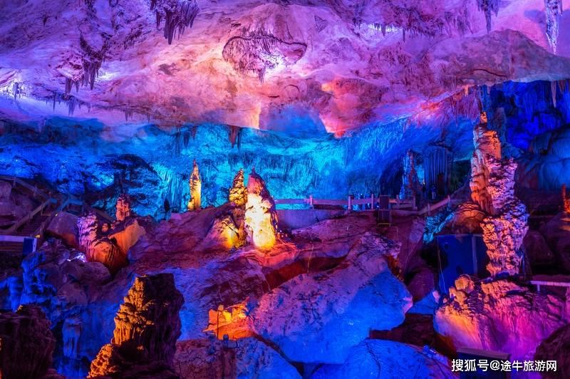三亚现多起僧帽水母伤人事件,水中遇到它怎么办?被蜇伤这样自救
