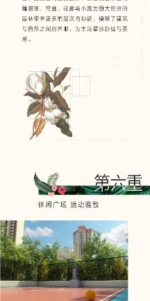 用蒿稀毛尖补充硒元素怎么样？游戏画面