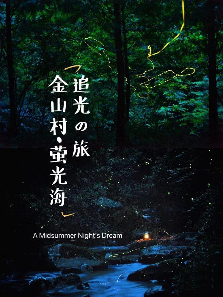 小猫钓鱼游戏龙王版有船
