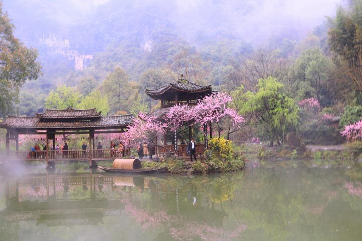 佘诗曼购豪宅登热搜，投资有道，堪称聪明女艺人！