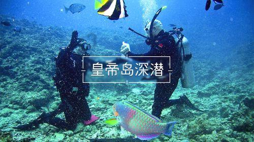 【第一书记代言】柳河县干河子村——干河子苹果