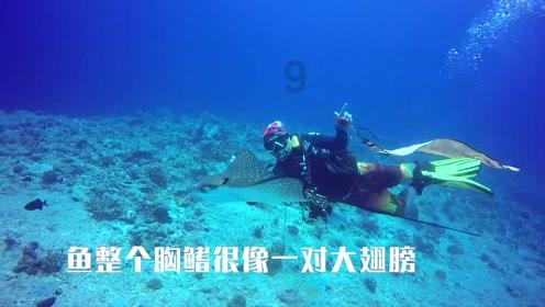 球球大作战下载最新版