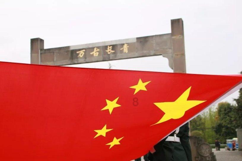 动物记忆大翻牌