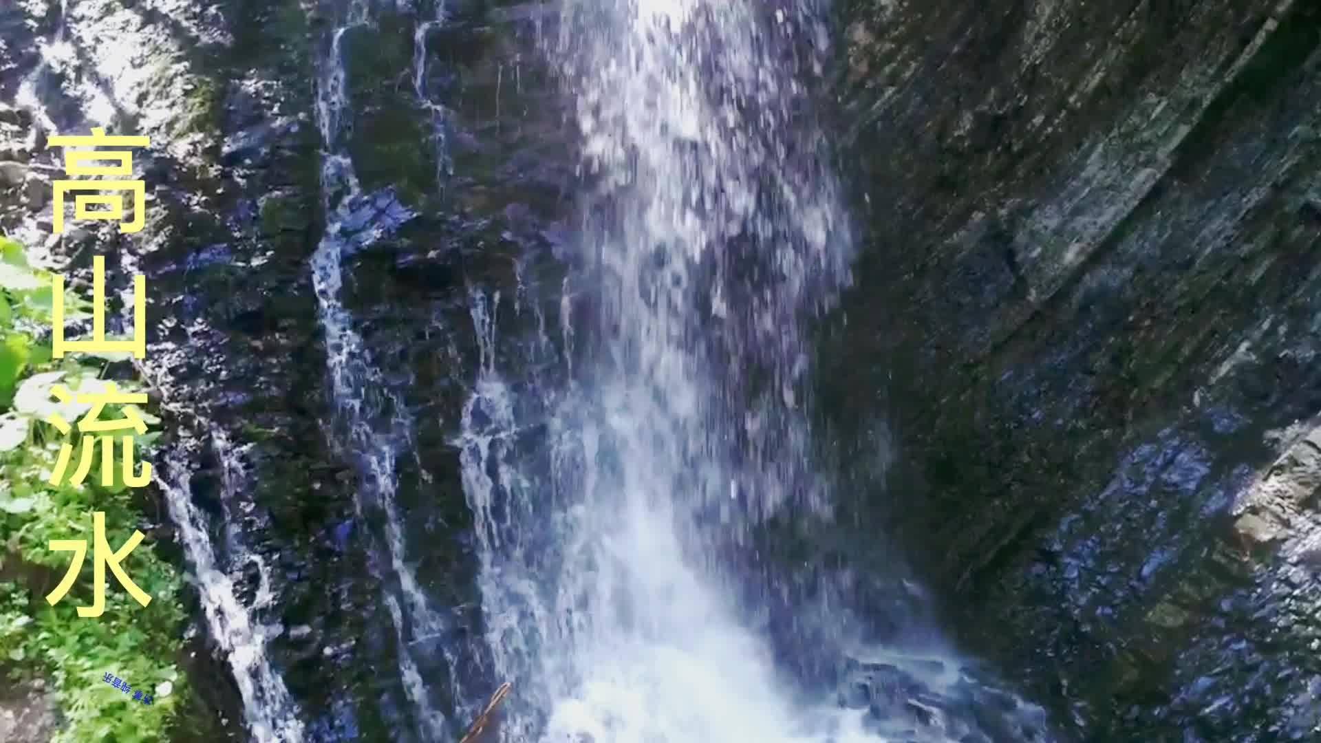 88影视