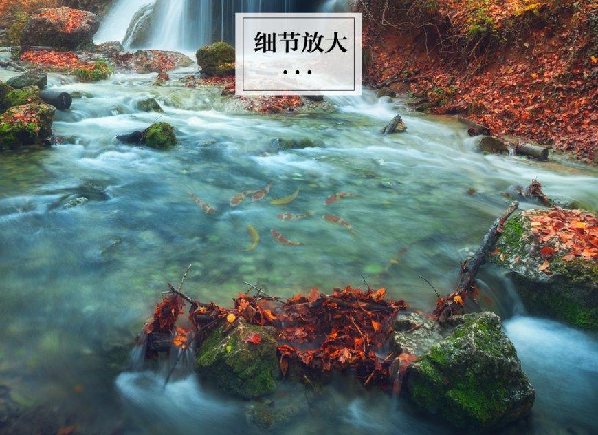苏菲亚的休闲装