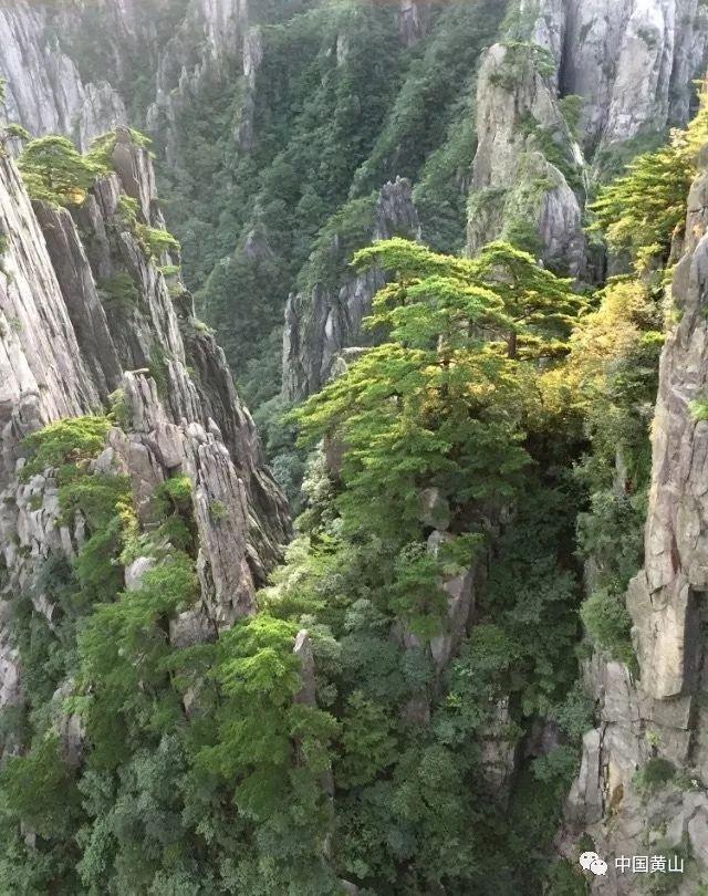 英勇骑士向前冲无敌版