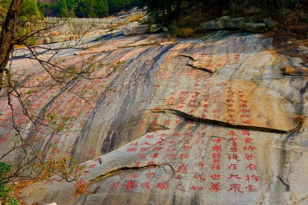 琳娜整理房间