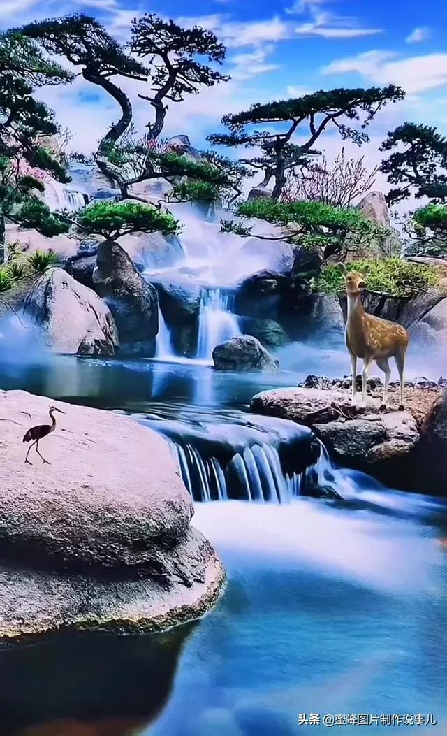 高级定制
