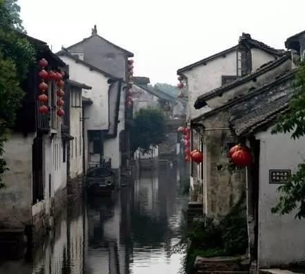 逗小猴开心系列174