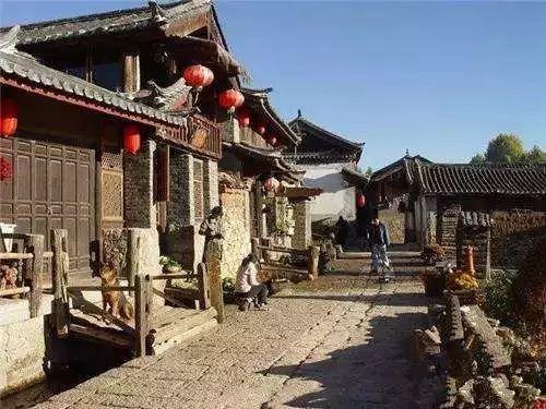 臭屁虫吃吃吃