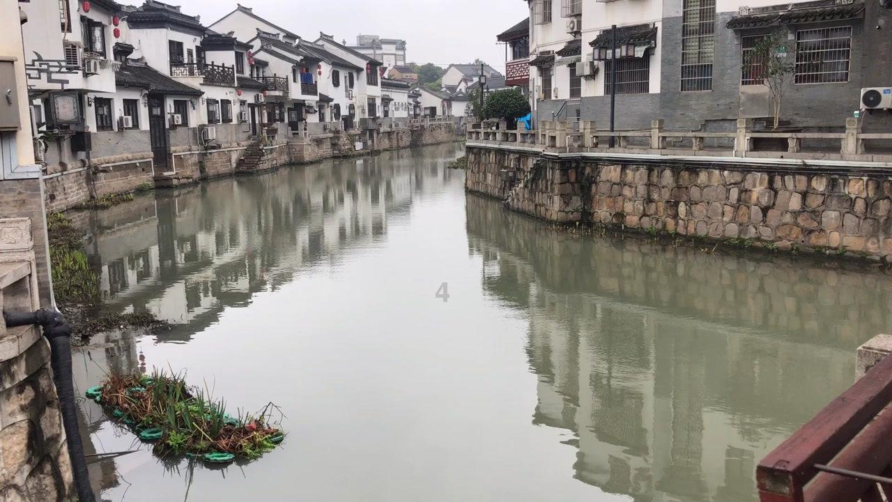 哇鸟森林逃生