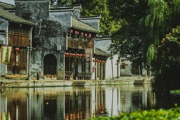 合金装备：幸存