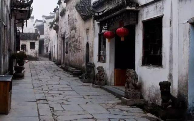 组装机械章鱼龙
