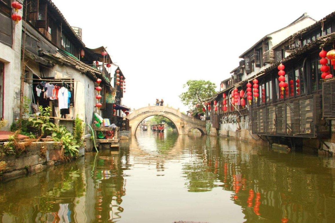拯救红松鼠